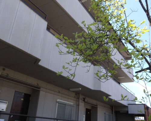 マンション画像